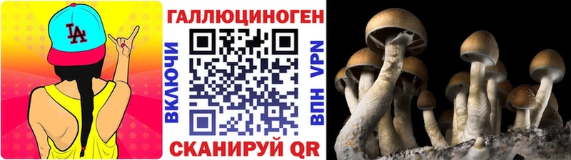 продажа наркотиков Давлеканово Галлюциногенные грибы Cubensis
